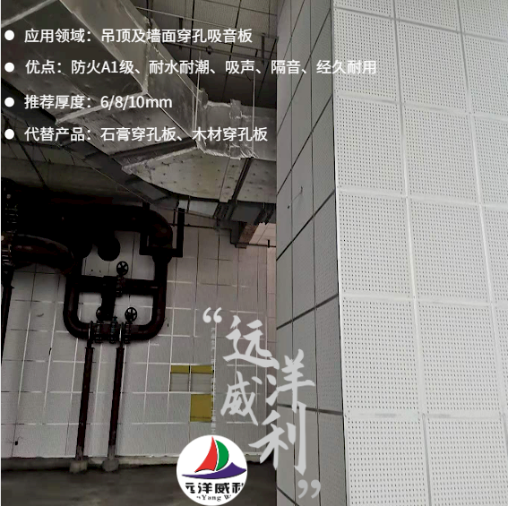 ��피����洩��������