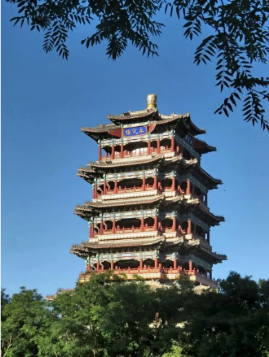 ���Բ���֮�������o(h��)���y(t��ng)֮�⡿���ܶȻҹ���Ӱ����������������(xi��ng)Ŀ